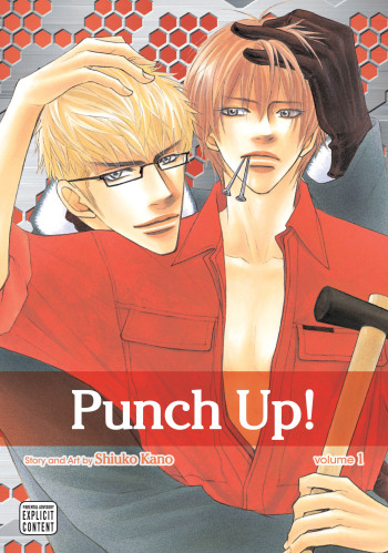 PunchUp_01_Cover_print_5x7.125.indd